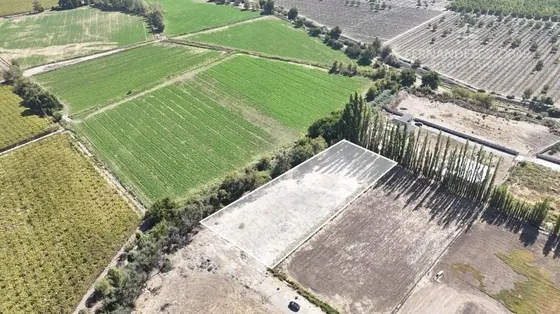 Rinconada - Vende Terreno De 5.000m2- San Guillermo