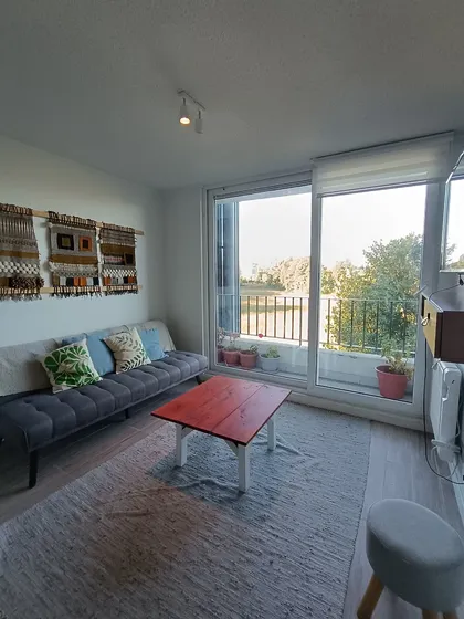 Dpto 1d1b Con Balcon Vista Humedal Edificio Smart Isla Teja