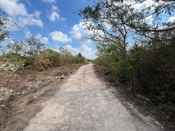 Terreno En Remate Av Rancho Viejo, Cancún