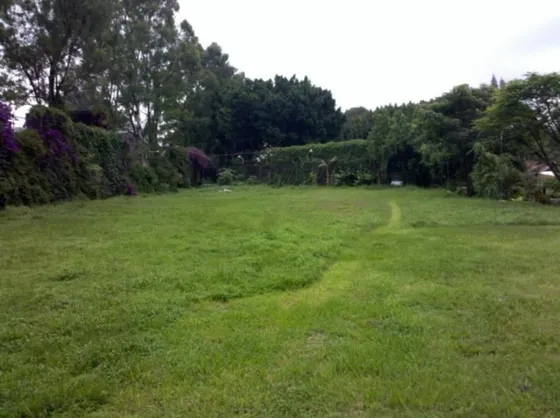 Terreno Urbano En Chamilpa, Cuernavaca, Morelos - Roq-1173-tu