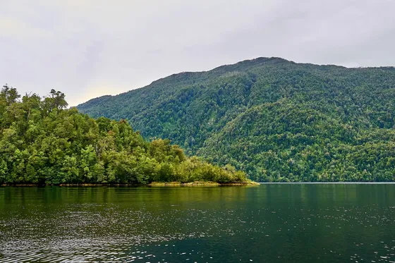 Imperdible Terreno 2ha Estuario Aysén