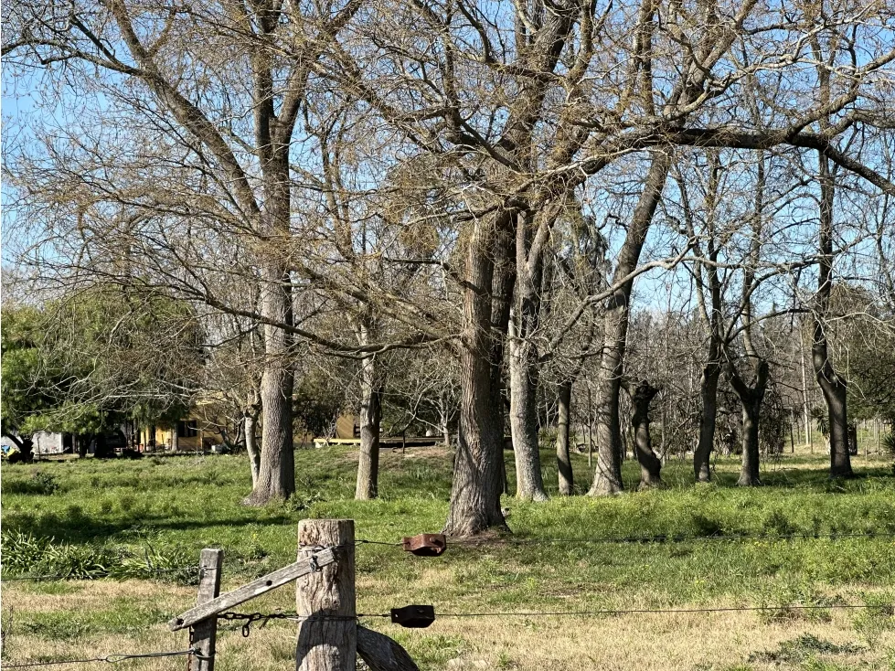 Land Plots in Jeppener (Brandsen) – 3 Plots of 4,000 m² Each