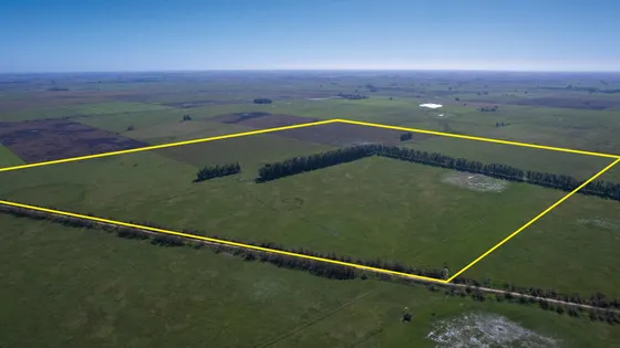 Campo En Venta Mixto 188ha San Andres De Giles