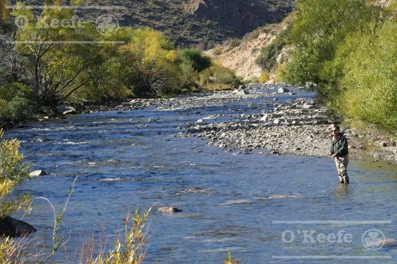 Campo En Venta  486 Has  Con Costa  Del Alto Rio Chubut