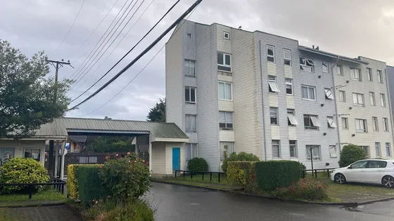 Se Arrienda Departamento Amobaldo, En Pelluco