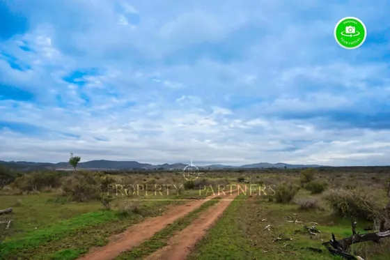 Cauquenes, Campo De Rulo, Ideal Para Viñas
