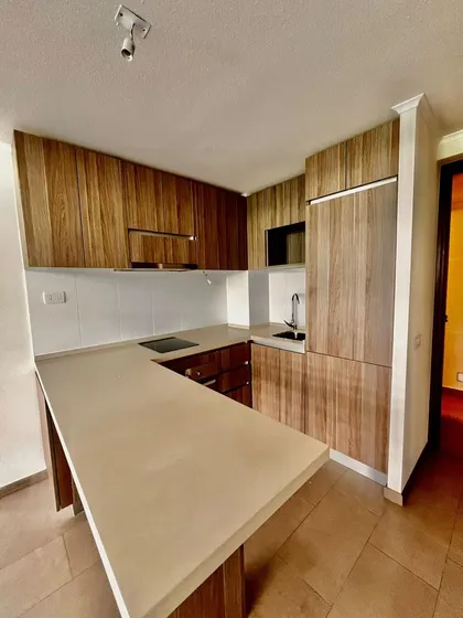 Arriendo Departamento Con Lago Artificial