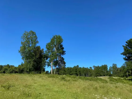 Campo, Localidad De Hueyusca (66783)