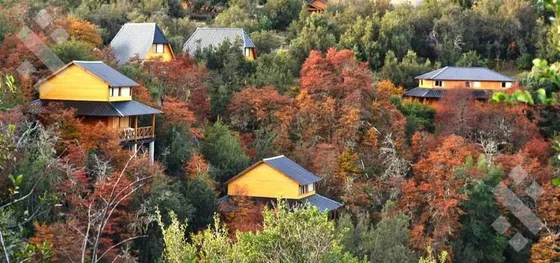 Venta Complejo De Cabañas - Villa Pehuenia - Patagonia Argentina