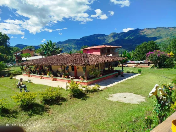 Venta De Finca En Andes Antioquia