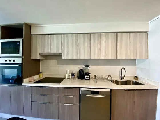 Departamento Full Amoblado En Providencia