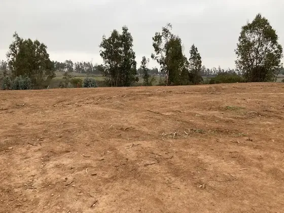 Se Vende Terrenos 1000mt2 En Campus Del Mar A $ 30.000.000