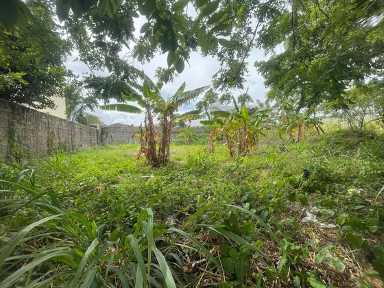 Se Vende Este Solar En Maimon Puerto Plata