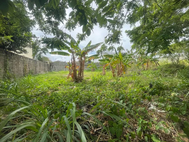 Se Vende Este Solar En Maimon Puerto Plata