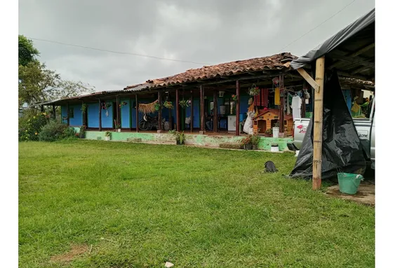 Venta Finca Filandia Quindio - Colombia Cod: 8975599