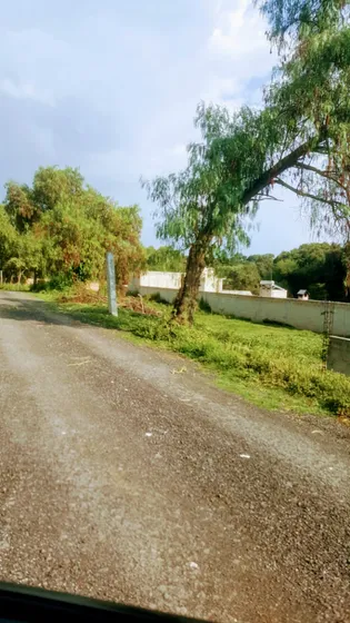 Rematamos Terreno