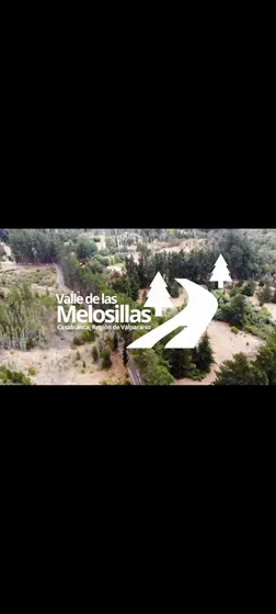 Campo En Melosilla 16 Has (60481)