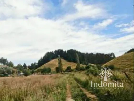Terreno Con Bosque Nativo En San Juan De La Costa