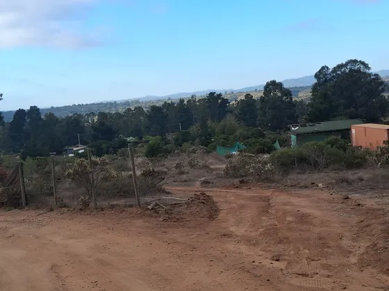 Terreno 5000 M2 Arriendo Algarrobo