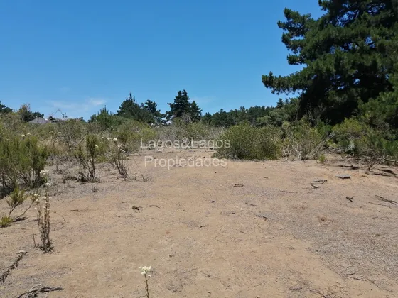 Vendemos Parcela 10.000 Metros Algarrobo!