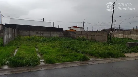 Sitio En Venta En Codegua