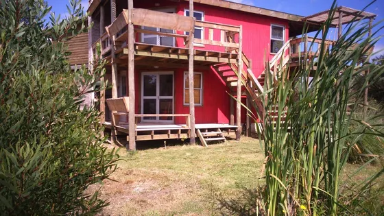 Descuento Por Estadías Largas. Adorable Monoambiente En Punta Rubia Alquilo Por Dia (apartamentos) 