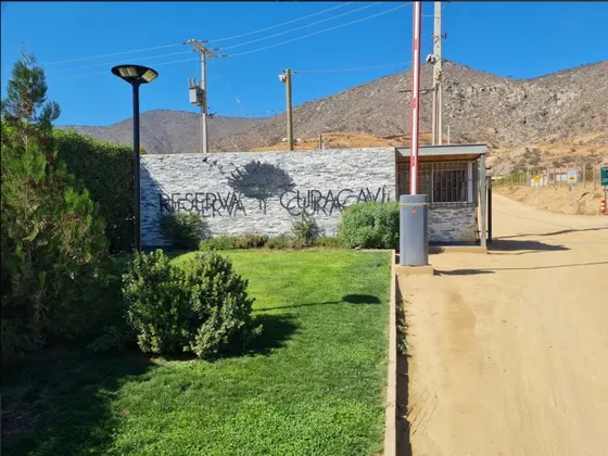 Parcela Plana 5.000 M²  En Cuyuncaví  Curacavi 