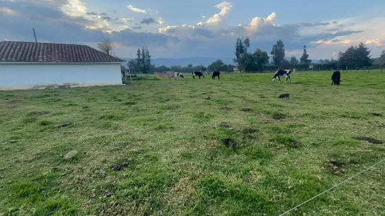 Lote / Finca En Venta Guasca 5 Fanegadas