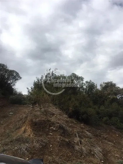 Sitio En Venta En Lo Barnechea