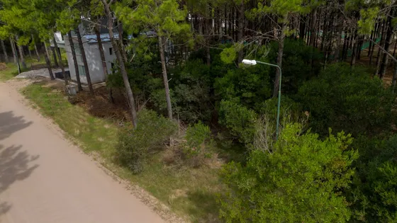 Lote Zona Frontera Pinamar Norte