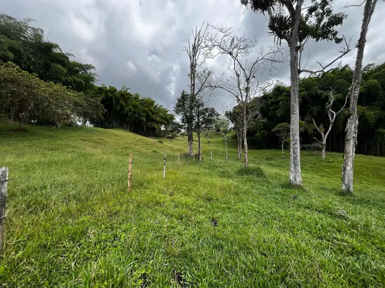 Finca De 38.400 Metros Cuadrados A La Venta