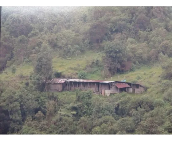 Se Vende Finca En Cumaral Valle Del Cauca