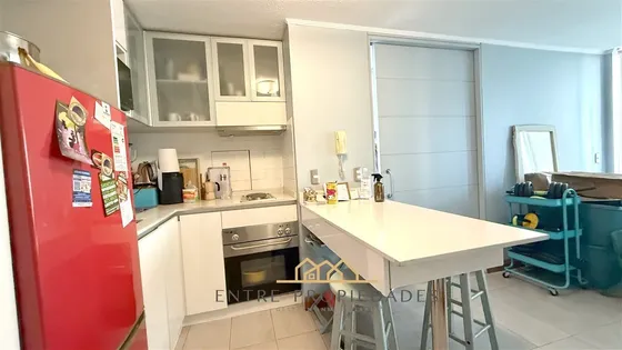 Departamento En Venta De 1 Dorm. Metro Los Leones Airbnb