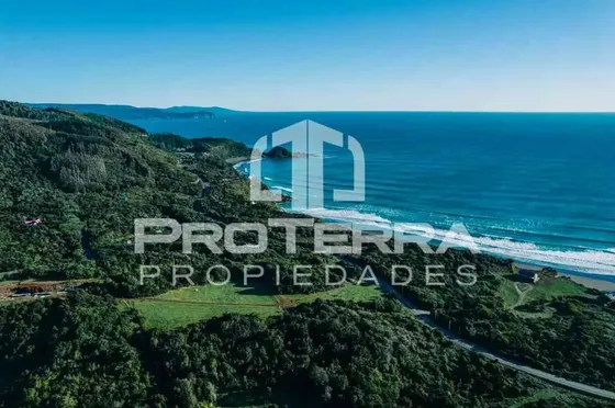 Hermosa Parcela Con Bosque Nativo Frente A Playa Calfuco