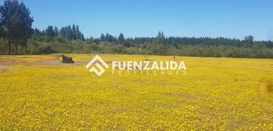 Parcela En Venta En Parral Sector Machicura