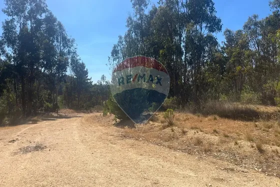 Parcela Con Agua Y Luz En El Totoral