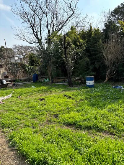 Venta Depósito A Refaccionar En Lote De 24 X 37