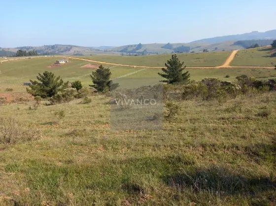Agrícola En Venta En Paredones