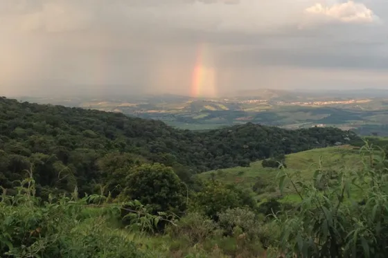 Fazenda Cafe Azeite Em Campanha Mg