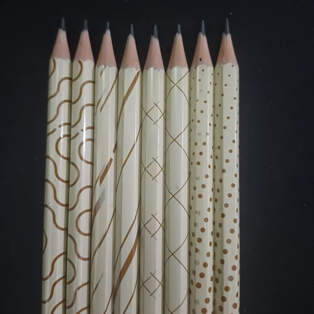 Caixa 72 Lápis De Escrever Hb Cores Jandaia Arts Decorado - Imagem 3