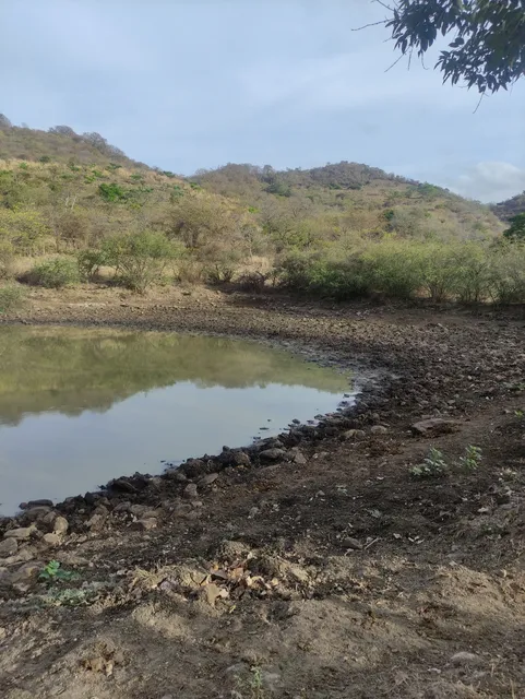Venta De 7 Caballerías De Tierra En Jalapa Guatemala 