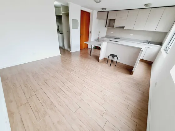 Departamento Tipo Estudio, Bellas Artes (16805)