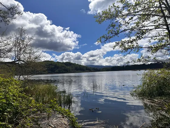 Exclusiva Parcela Con Orilla De Río Cruces, Valdivia