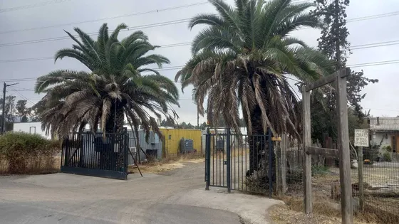 Parcela 5.000 En El Curato Con Agua Y Luz (101854)