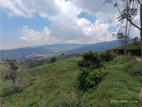 Vendo Finca Lechera Activa En San José De La Montaña De 304 Hectáreas