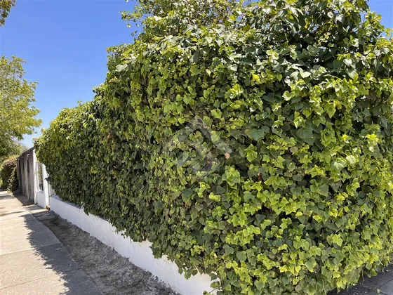 Casa En Venta De 3 Dorm. En Ñuñoa
