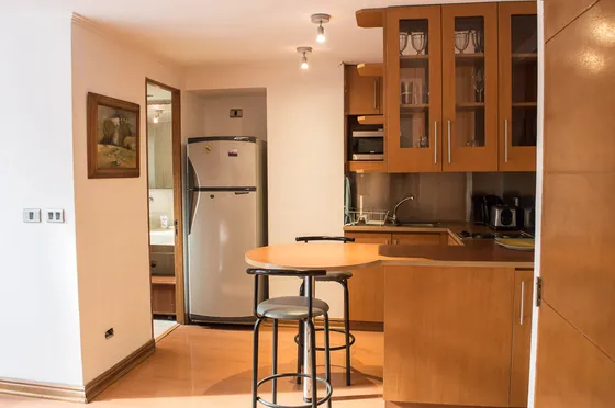 Arriendo Departamento Amoblado Studio Antonio Bellet (2102)