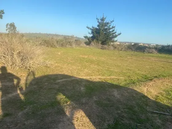 Sitio Disponible En Area De Parcelas
