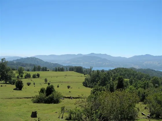 Agrícola En Venta En Panguipulli