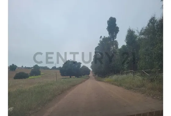 Excelentes Terrenos En Venta, Santa Adela